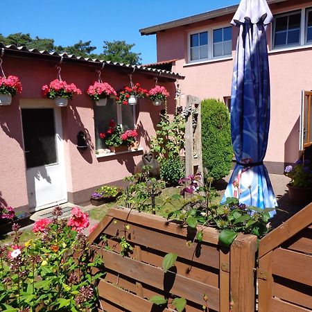 Ferienwohnung Duehne Ostseebad Kühlungsborn Exterior foto
